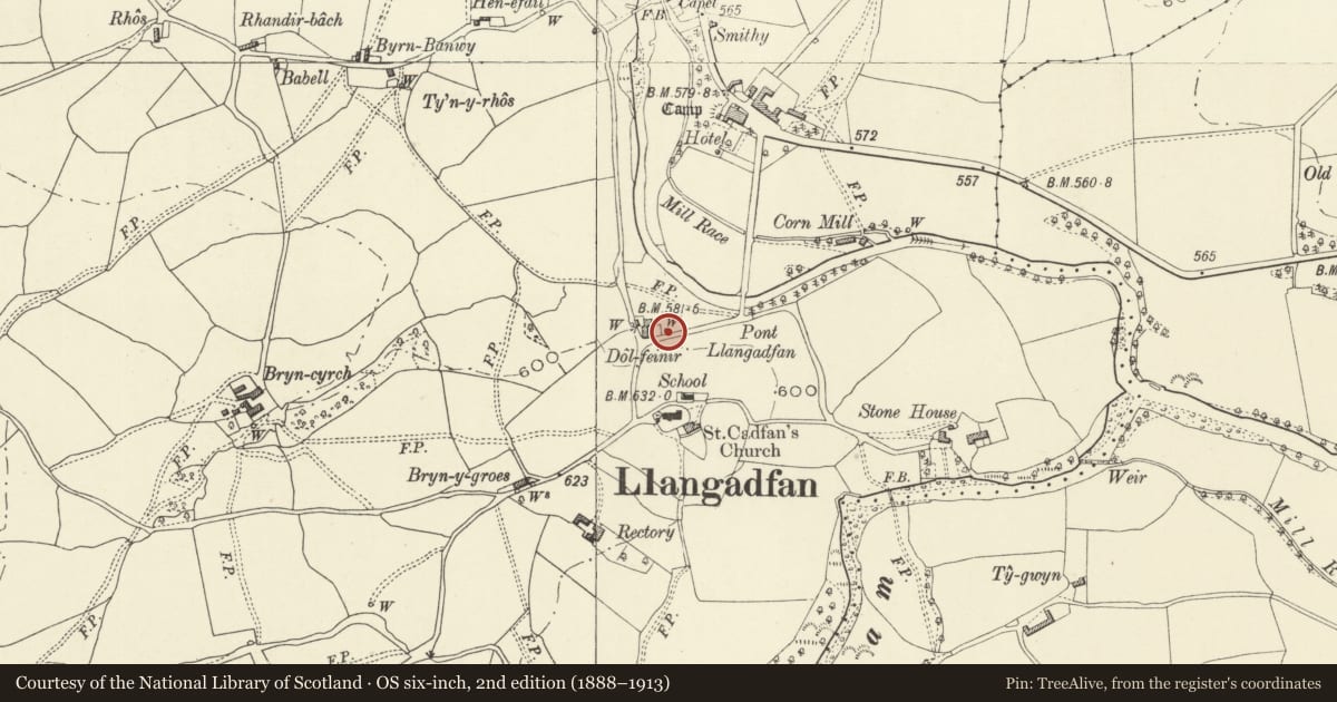 Ordnance Survey six-inch map, 2nd edition (1888–1913) covering the location of St Cadfan's Well, Banwy, Powys, with a pin at the register's coordinates