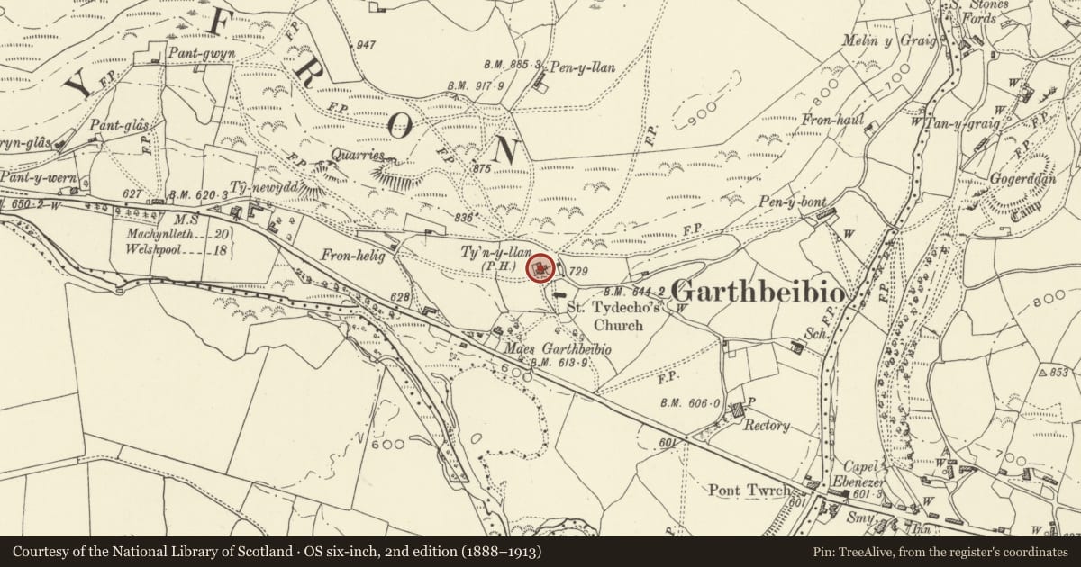 Ordnance Survey six-inch map, 2nd edition (1888–1913) covering the location of Ty'n-y-llan, Banwy, Powys, with a pin at the register's coordinates