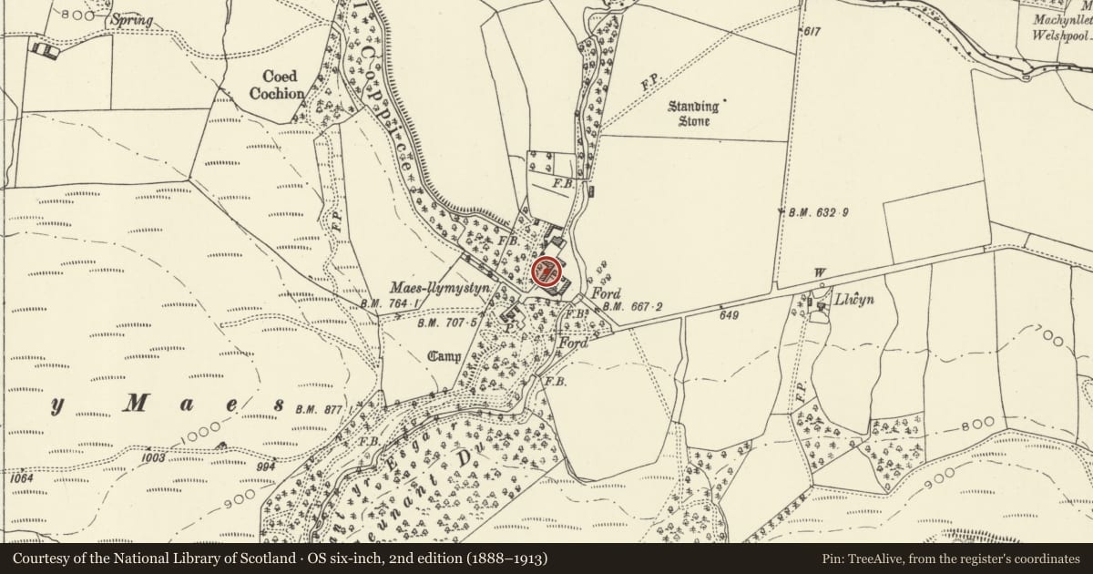 Ordnance Survey six-inch map, 2nd edition (1888–1913) covering the location of West Range of Farmyard Buildings at Maesllymystyn with Coach-house, Stable, Haybarn and Granary, Banwy, Powys, with a pin at the register's coordinates