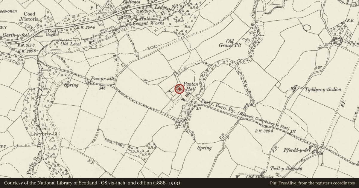 Ordnance Survey six-inch map, 2nd edition (1888–1913) covering the location of Panton Hall, Bagillt, Flintshire, with a pin at the register's coordinates