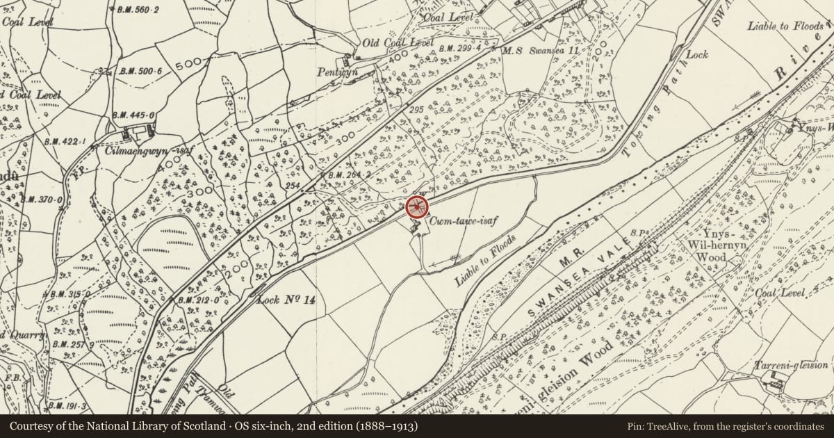 Ordnance Survey six-inch map, 2nd edition (1888–1913) covering the location of Canal Overbridge at Cwm-tawe-isaf, Ystalyfera, Neath Port Talbot, with a pin at the register's coordinates