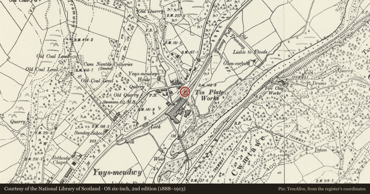 Ordnance Survey six-inch map, 2nd edition (1888–1913) covering the location of Nant Du Aqueduct on Swansea Canal (partly in Pontardawe community), Ystalyfera, Neath Port Talbot, with a pin at the register's coordinates