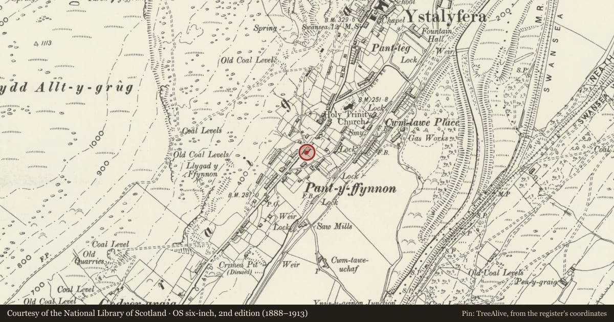 Ordnance Survey six-inch map, 2nd edition (1888–1913) covering the location of No 41 Graig Road, Ystalyfera, Neath Port Talbot, with a pin at the register's coordinates
