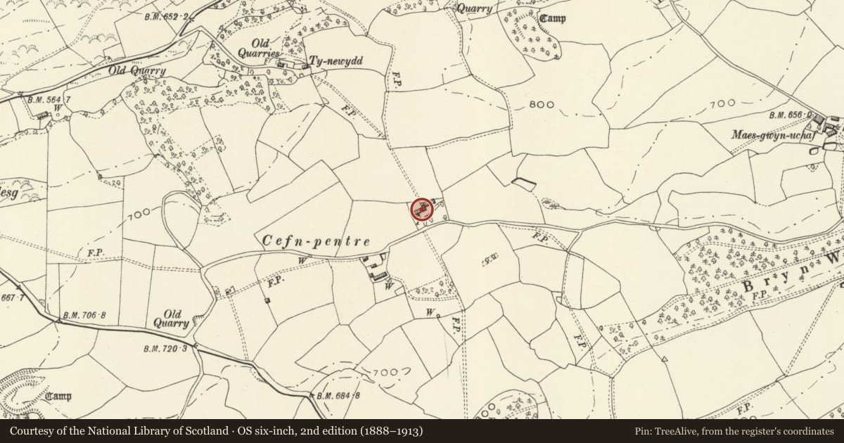 Ordnance Survey six-inch map, 2nd edition (1888–1913) covering the location of Cefn Pentre, Meifod, Powys, with a pin at the register's coordinates