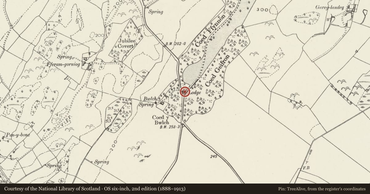 Ordnance Survey six-inch map, 2nd edition (1888–1913) covering the location of Gate and walled railings at Bangor Lodge, Pentraeth, Isle of Anglesey, with a pin at the register's coordinates