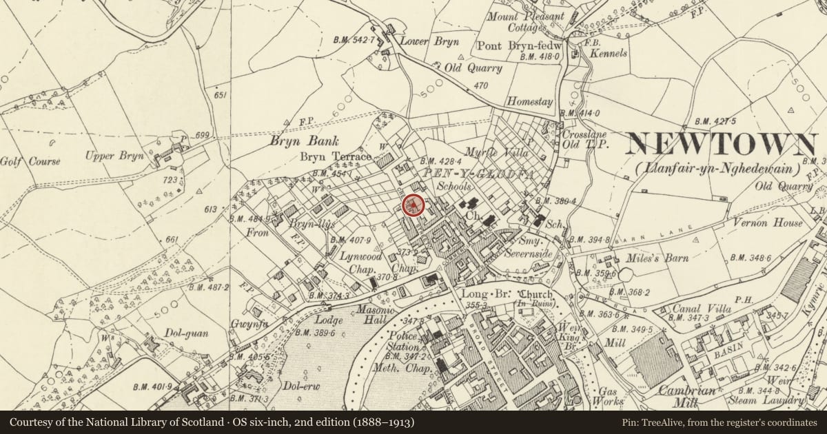 Ordnance Survey six-inch map, 2nd edition (1888–1913) covering the location of 25 Crescent Street, Newtown and Llanllwchaiarn, Powys, with a pin at the register's coordinates