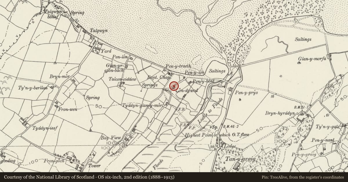 Ordnance Survey six-inch map, 2nd edition (1888–1913) covering the location of Sandy Lane, Pentraeth, Isle of Anglesey, with a pin at the register's coordinates