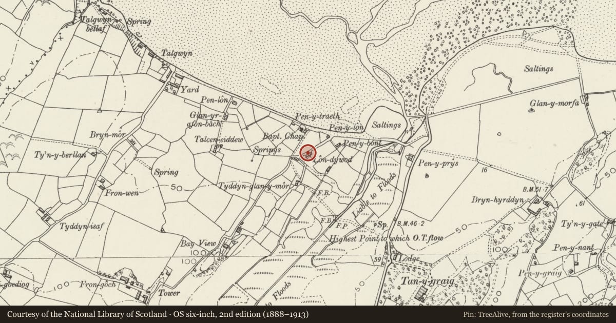 Ordnance Survey six-inch map, 2nd edition (1888–1913) covering the location of Sandy Lane, Pentraeth, Isle of Anglesey, with a pin at the register's coordinates