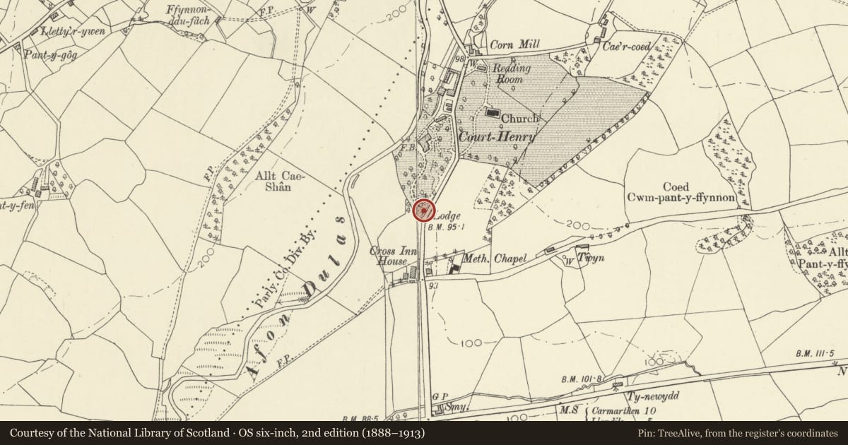 Ordnance Survey six-inch map, 2nd edition (1888–1913) covering the location of Court Henry Lodge, Llangathen, Carmarthenshire, with a pin at the register's coordinates