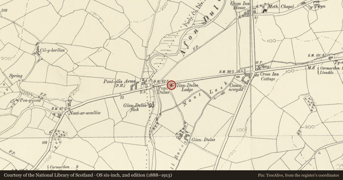 Ordnance Survey six-inch map, 2nd edition (1888–1913) covering the location of Glandulas Lodge, Llangathen, Carmarthenshire, with a pin at the register's coordinates