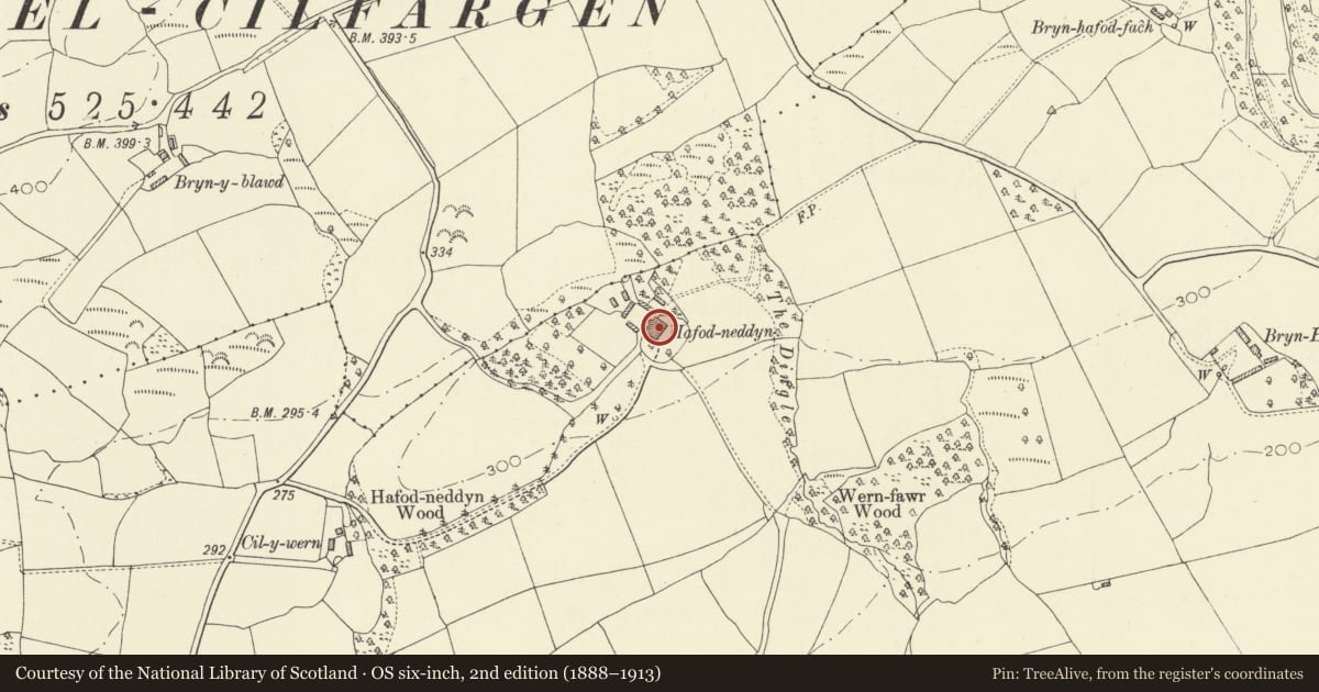 Ordnance Survey six-inch map, 2nd edition (1888–1913) covering the location of Hafodneddyn, Llangathen, Carmarthenshire, with a pin at the register's coordinates