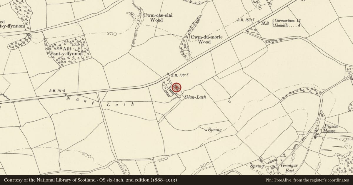 Ordnance Survey six-inch map, 2nd edition (1888–1913) covering the location of Lan Lash, including attached former cow sheds, Llangathen, Carmarthenshire, with a pin at the register's coordinates
