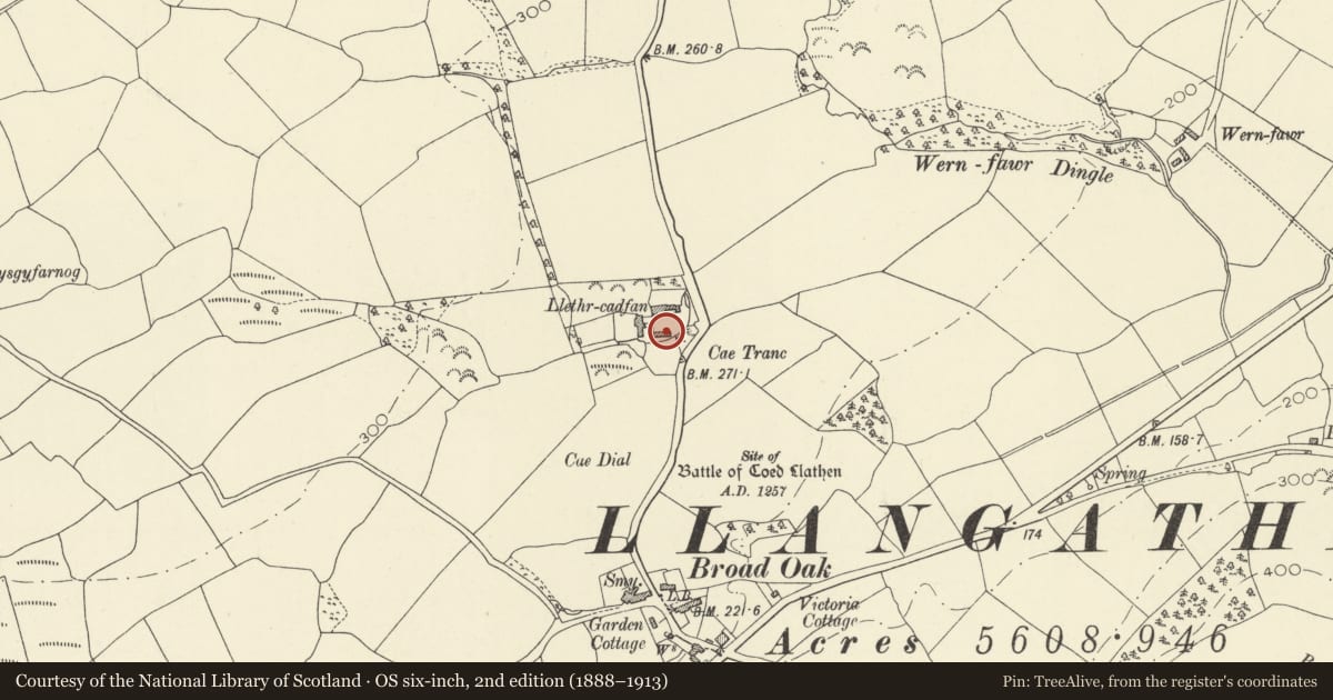 Ordnance Survey six-inch map, 2nd edition (1888–1913) covering the location of Multi-purpose agricultural range at Llethr Cadfan Farm, Llangathen, Carmarthenshire, with a pin at the register's coordinates