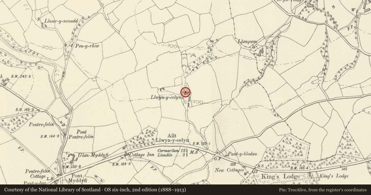 Ordnance Survey six-inch map, 2nd edition (1888–1913) covering the location of Old house, with attached former cow house, at Llwyncelyn Farm, Llangathen, Carmarthenshire, with a pin at the register's coordinates
