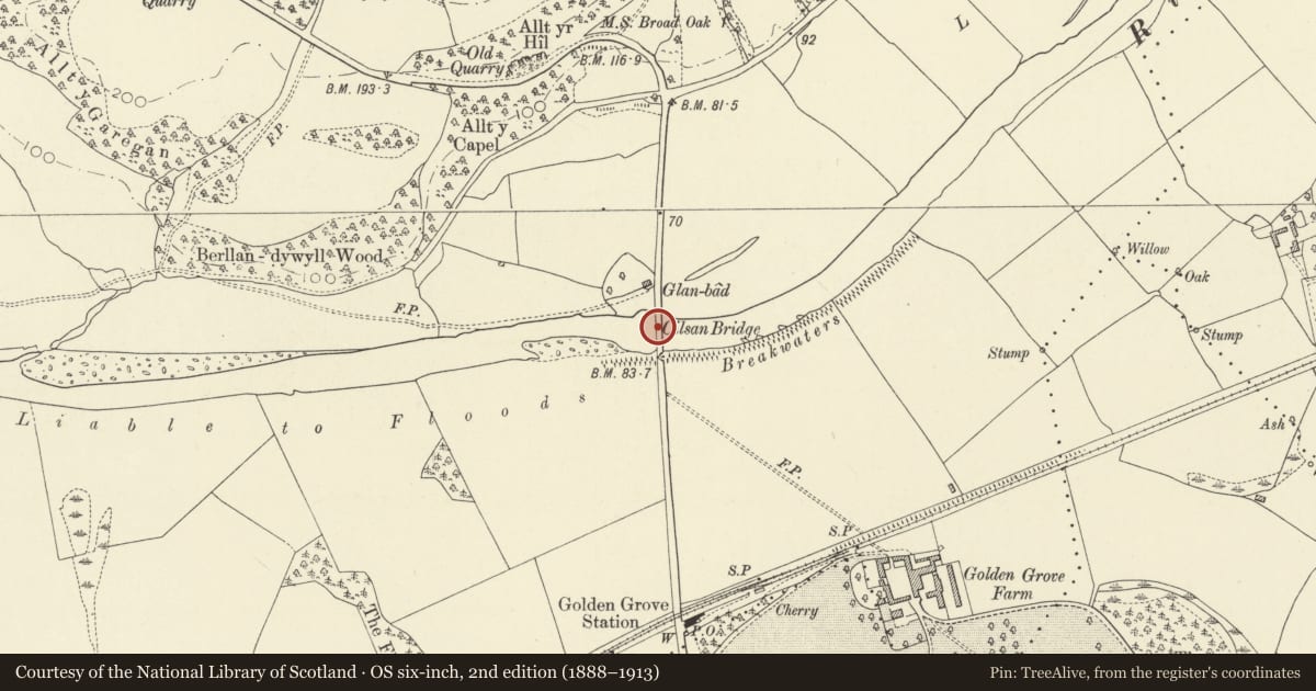 Ordnance Survey six-inch map, 2nd edition (1888–1913) covering the location of Pont Cilsan (partly in Llanfihangel Aberbythych), Llangathen, Carmarthenshire, with a pin at the register's coordinates