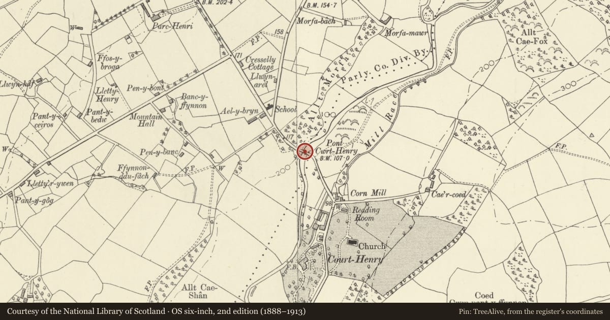 Ordnance Survey six-inch map, 2nd edition (1888–1913) covering the location of Pont Court Henry, Llanegwad, Carmarthenshire, with a pin at the register's coordinates