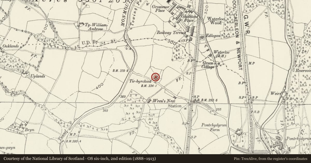 Ordnance Survey six-inch map, 2nd edition (1888–1913) covering the location of Tir-brychiad, Pontnewydd, Torfaen, with a pin at the register's coordinates