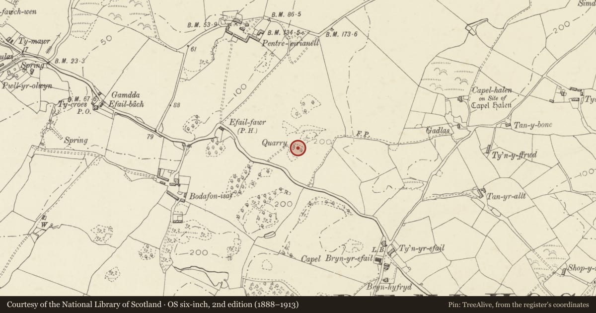 Ordnance Survey six-inch map, 2nd edition (1888–1913) covering the location of Morris Brothers Memorial, Moelfre, Isle of Anglesey, with a pin at the register's coordinates