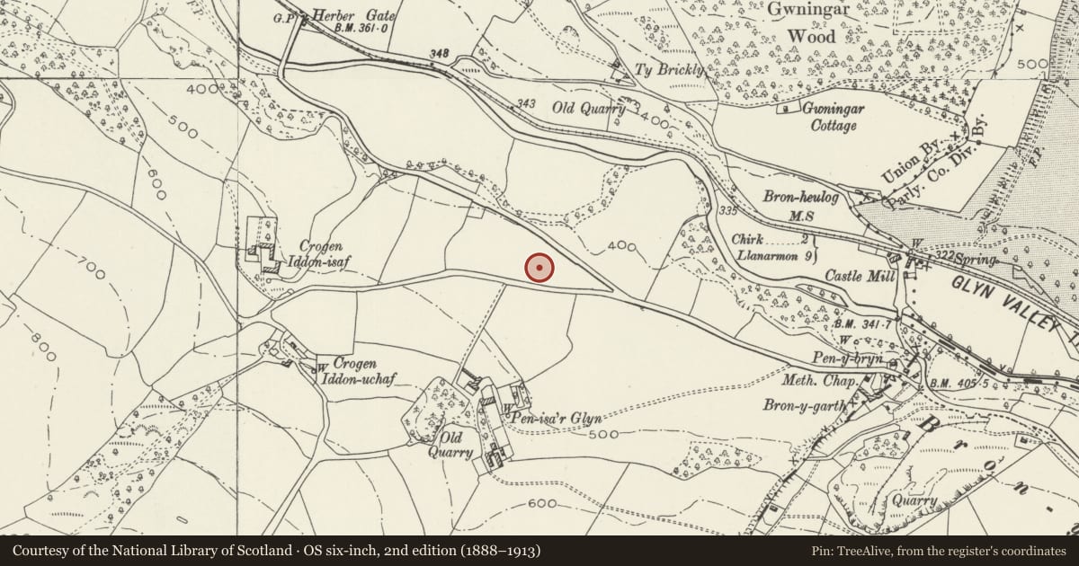 Ordnance Survey six-inch map, 2nd edition (1888–1913) covering the location of Bryn Rodyn, Glyntraian, Wrexham, with a pin at the register's coordinates
