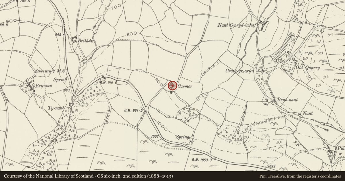 Ordnance Survey six-inch map, 2nd edition (1888–1913) covering the location of Cae-mor Farmhouse and adjoining farm building, Glyntraian, Wrexham, with a pin at the register's coordinates