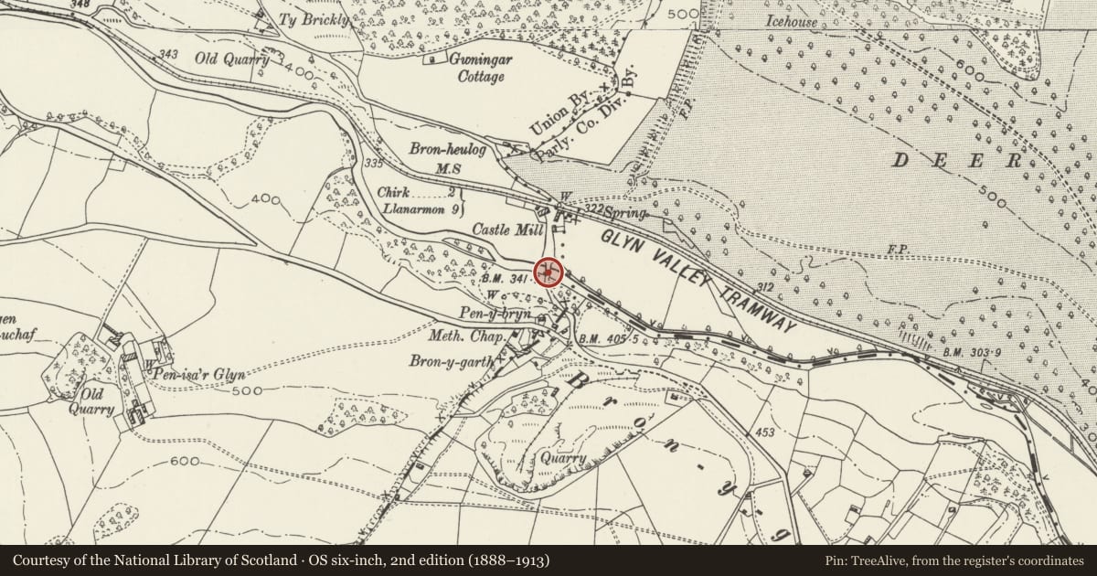 Ordnance Survey six-inch map, 2nd edition (1888–1913) covering the location of Castle Mill Bridge, Glyntraian, Wrexham, with a pin at the register's coordinates