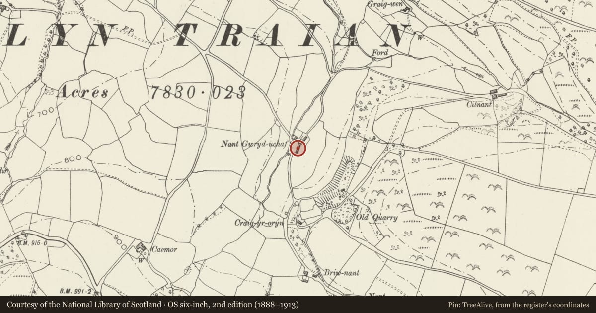 Ordnance Survey six-inch map, 2nd edition (1888–1913) covering the location of Cow-house with attached Cart-shed and Stables at Llangwryd Uchaf, Glyntraian, Wrexham, with a pin at the register's coordinates