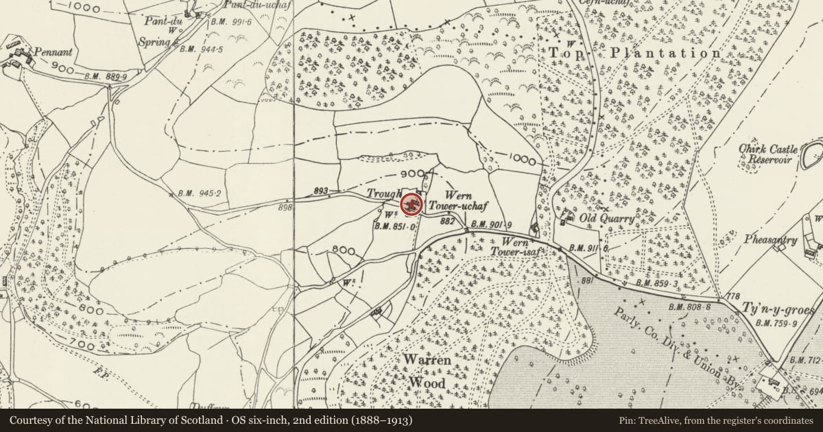Ordnance Survey six-inch map, 2nd edition (1888–1913) covering the location of Farm Ranges at Wern Tower, Glyntraian, Wrexham, with a pin at the register's coordinates