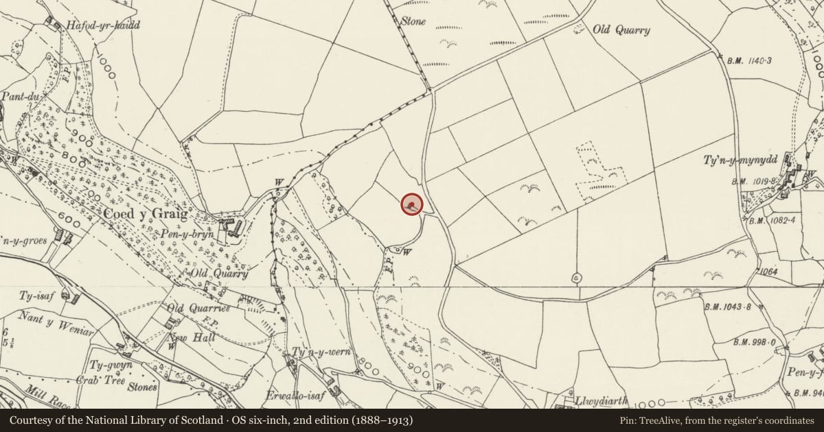 Ordnance Survey six-inch map, 2nd edition (1888–1913) covering the location of Field Barn to North of Er Wallo, Glyntraian, Wrexham, with a pin at the register's coordinates