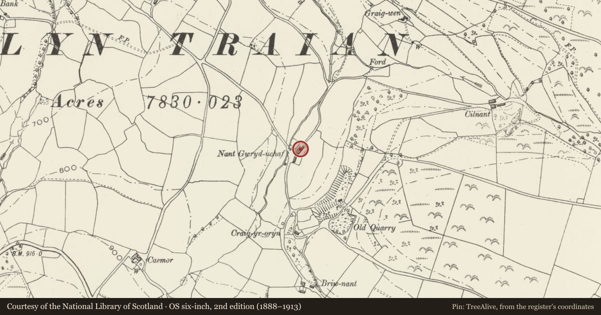 Ordnance Survey six-inch map, 2nd edition (1888–1913) covering the location of Llangwryd Uchaf and adjoining farm building, Glyntraian, Wrexham, with a pin at the register's coordinates