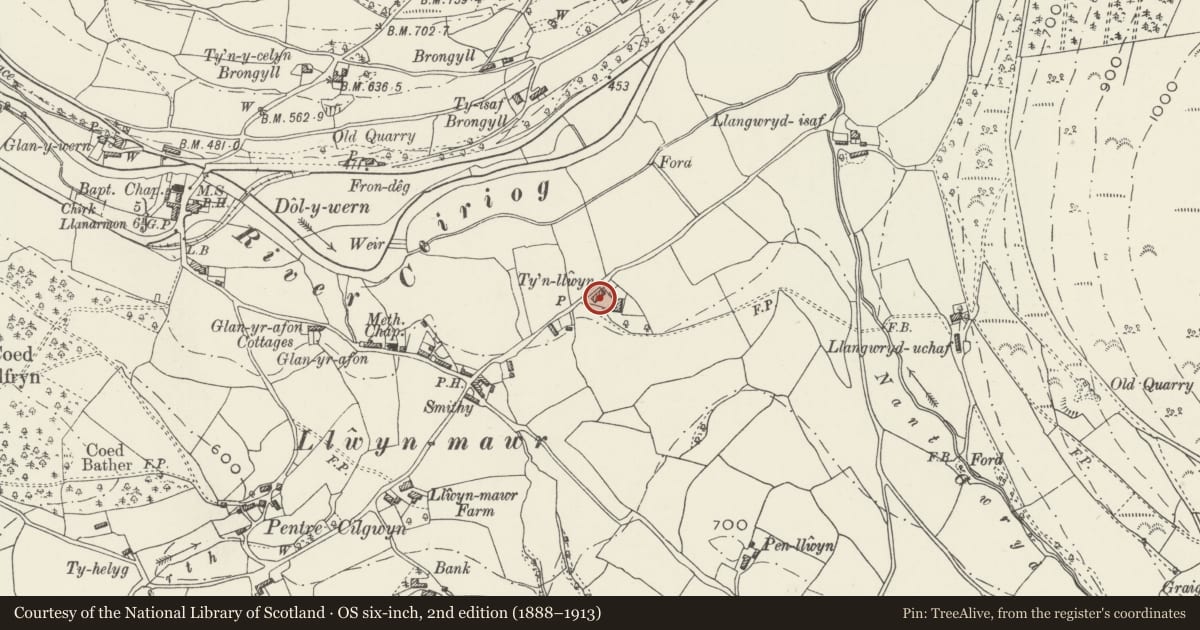 Ordnance Survey six-inch map, 2nd edition (1888–1913) covering the location of Multi-purpose Farm Building at Ty'n-llwyn Farm, Glyntraian, Wrexham, with a pin at the register's coordinates