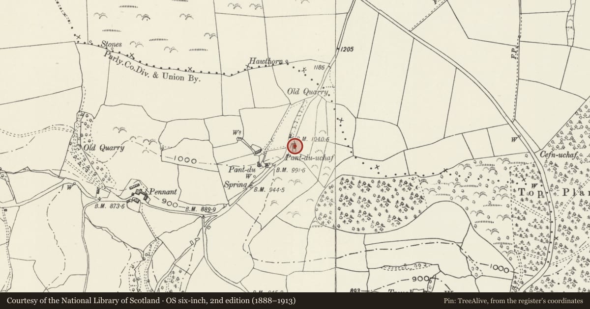 Ordnance Survey six-inch map, 2nd edition (1888–1913) covering the location of Pant-du-uchaf, Glyntraian, Wrexham, with a pin at the register's coordinates