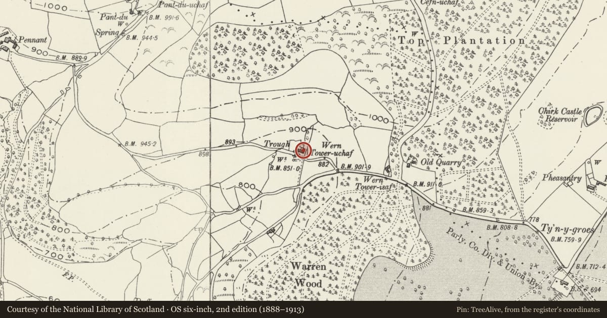 Ordnance Survey six-inch map, 2nd edition (1888–1913) covering the location of Wern Tower, Glyntraian, Wrexham, with a pin at the register's coordinates