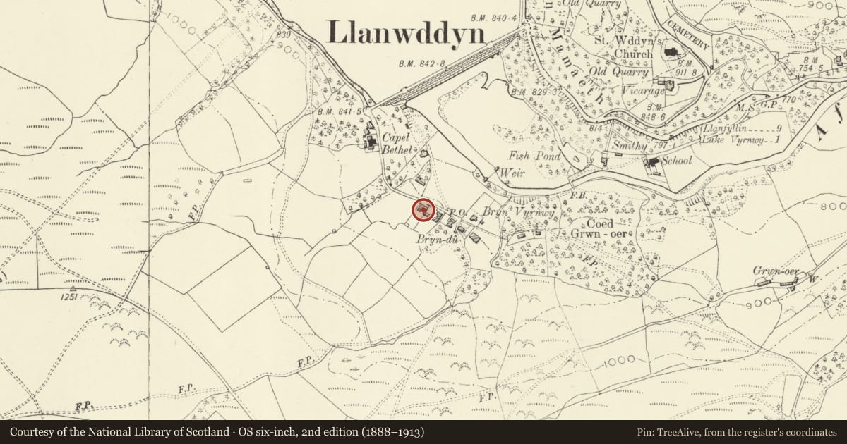 Ordnance Survey six-inch map, 2nd edition (1888–1913) covering the location of Bryn Derwen with Railings to Garden, Llanwddyn, Powys, with a pin at the register's coordinates