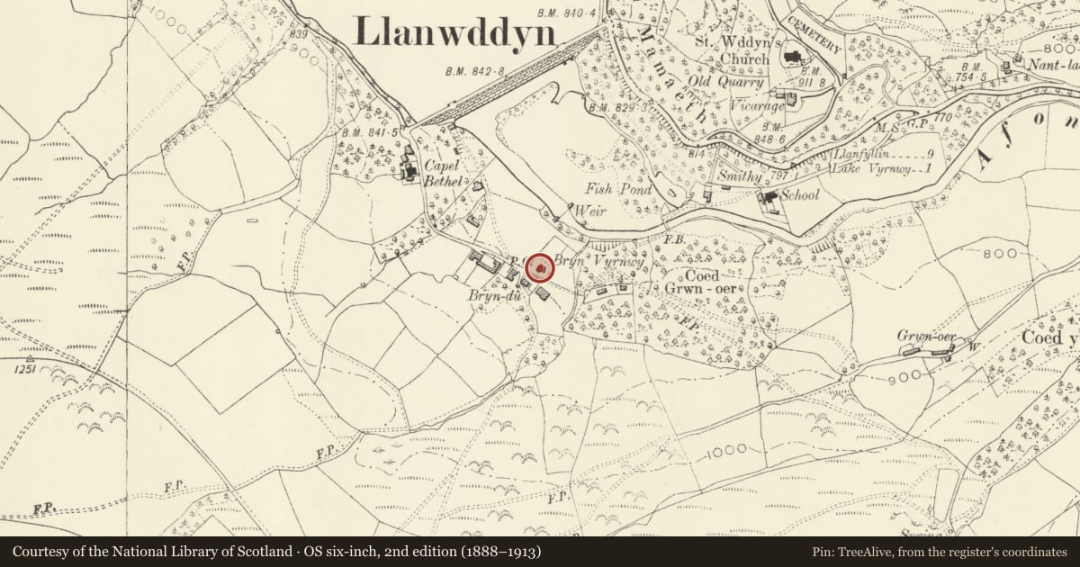 Ordnance Survey six-inch map, 2nd edition (1888–1913) covering the location of Bryn Vyrnwy, Llanwddyn, Powys, with a pin at the register's coordinates