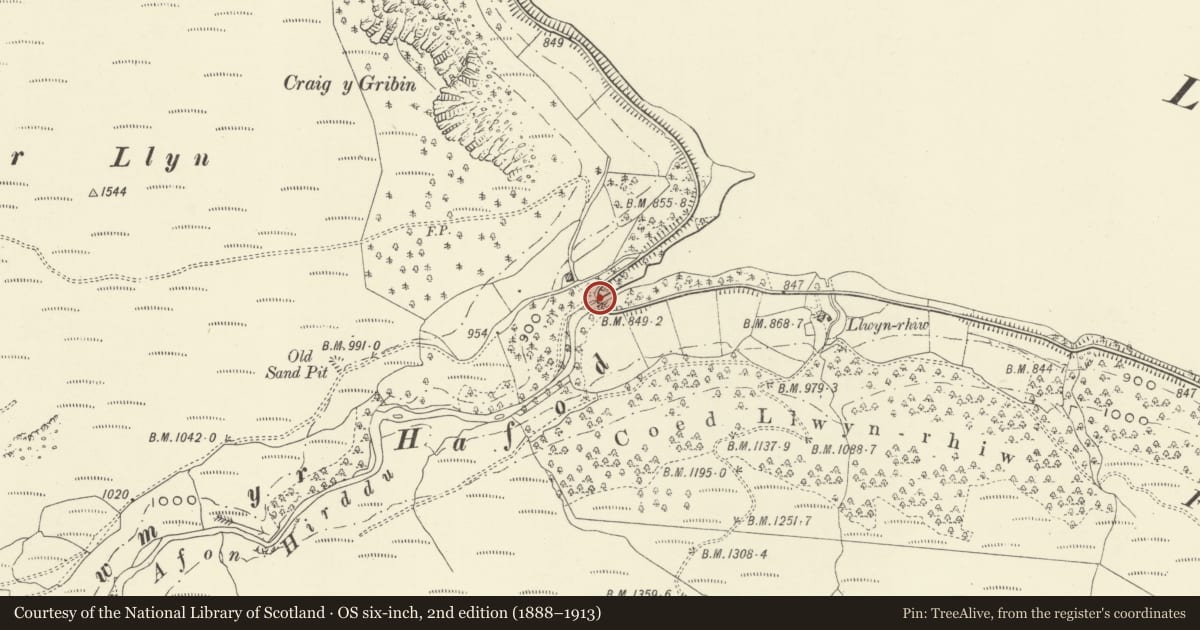 Ordnance Survey six-inch map, 2nd edition (1888–1913) covering the location of Cwm-yr-hafod Bridge, Llanwddyn, Powys, with a pin at the register's coordinates