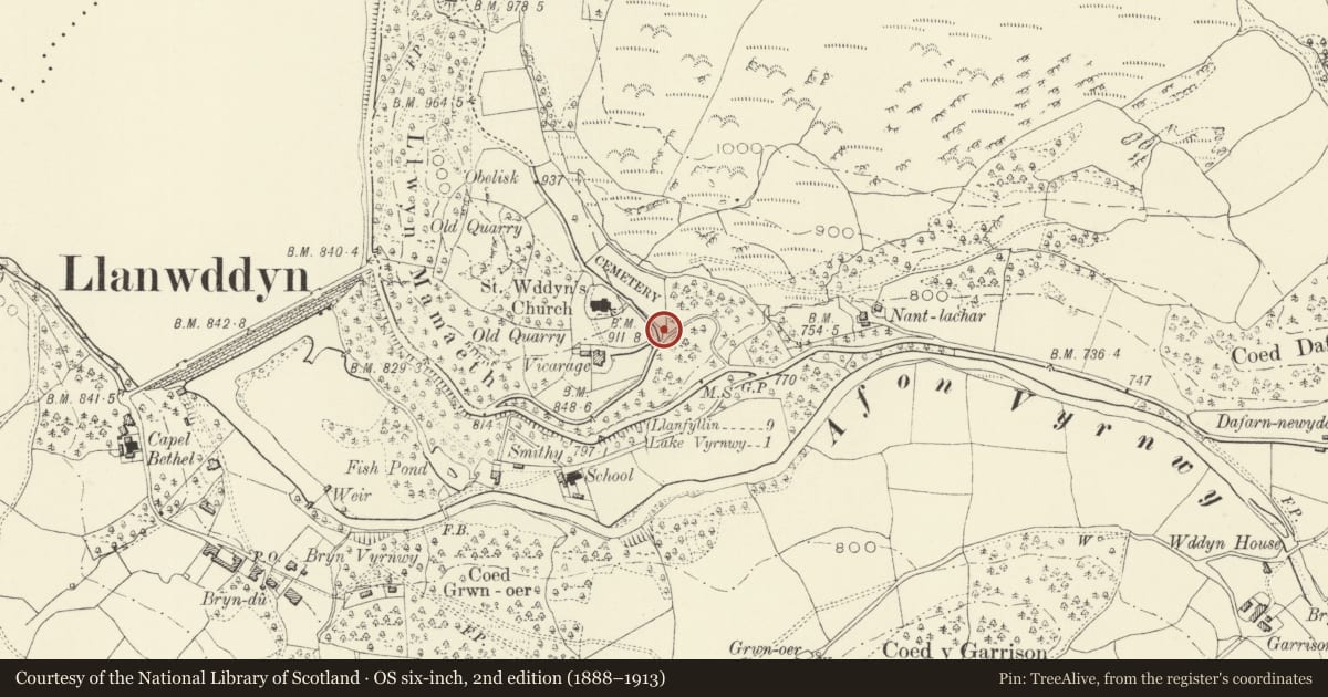 Ordnance Survey six-inch map, 2nd edition (1888–1913) covering the location of Hearse house at St Wddyn's Churchyard, Llanwddyn, Powys, with a pin at the register's coordinates