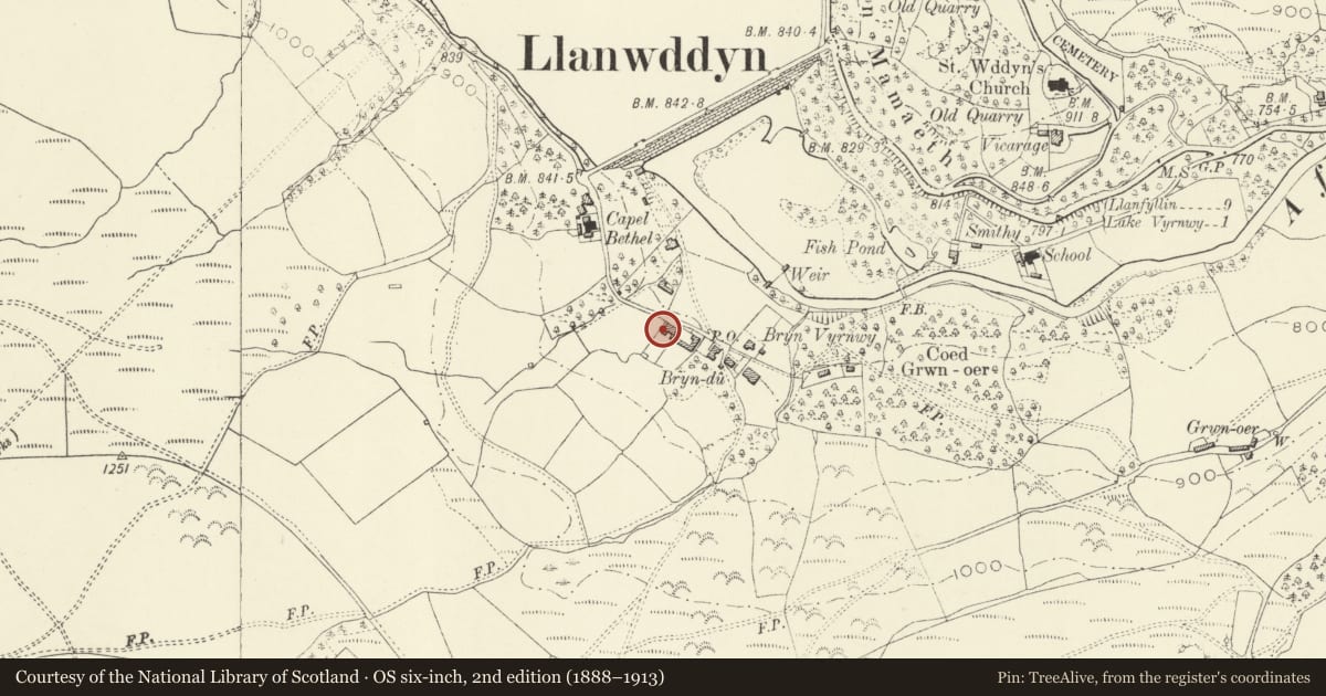Ordnance Survey six-inch map, 2nd edition (1888–1913) covering the location of Lake Cottage with Railings to Garden, Llanwddyn, Powys, with a pin at the register's coordinates