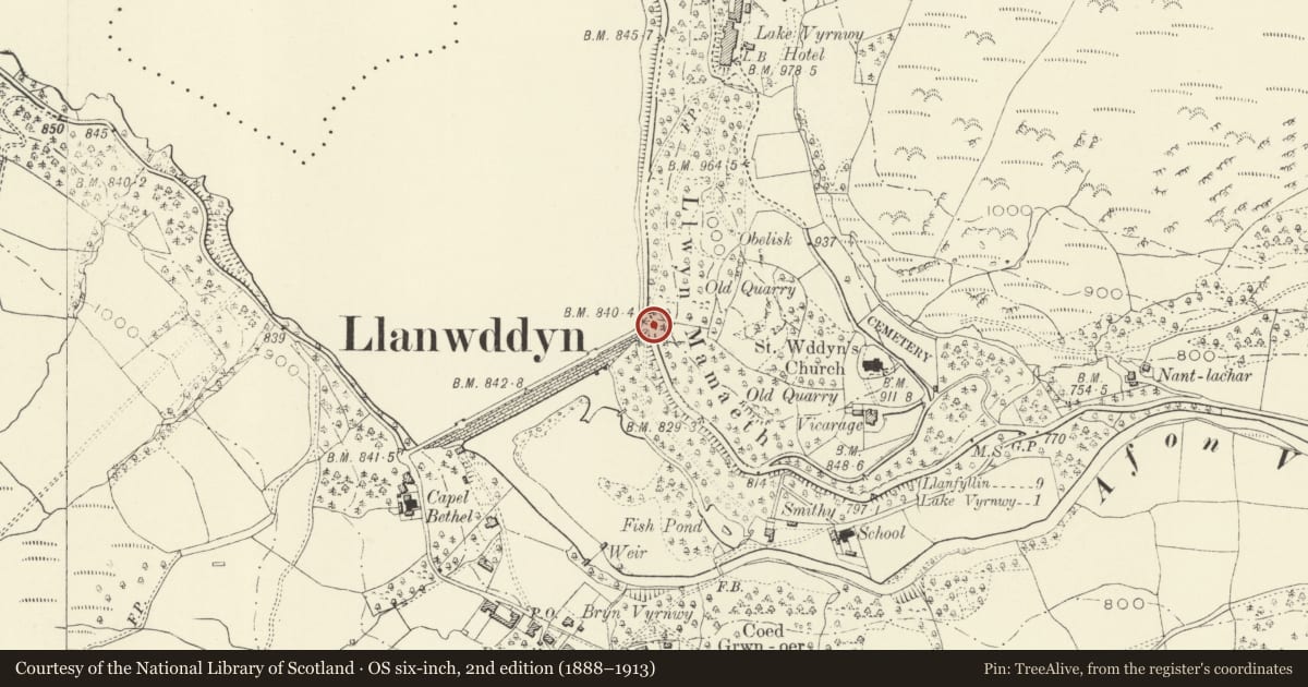 Ordnance Survey six-inch map, 2nd edition (1888–1913) covering the location of Lake Vyrnwy Dam Memorials, Llanwddyn, Powys, with a pin at the register's coordinates