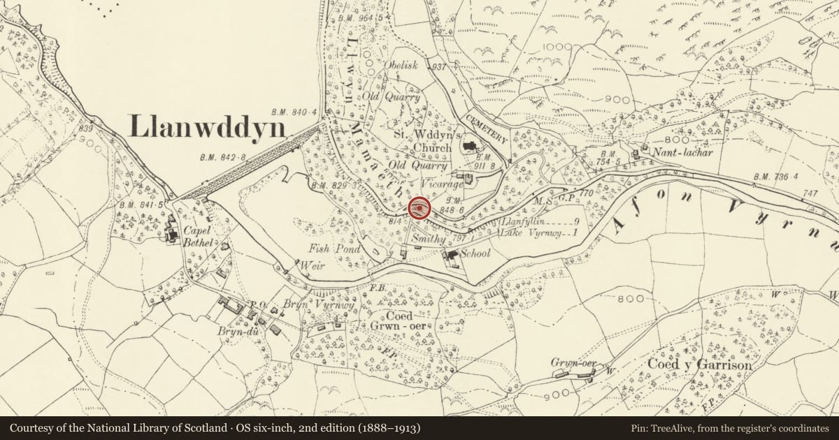 Ordnance Survey six-inch map, 2nd edition (1888–1913) covering the location of Llanwddyn War Memorial, Powys, with a pin at the register's coordinates