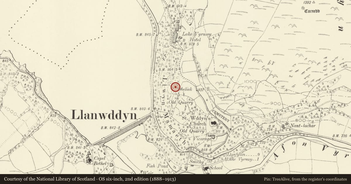 Ordnance Survey six-inch map, 2nd edition (1888–1913) covering the location of Memorial Obelisk to Lake Vyrnwy Workers, Llanwddyn, Powys, with a pin at the register's coordinates