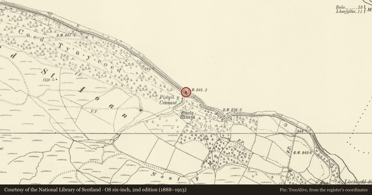 Ordnance Survey six-inch map, 2nd edition (1888–1913) covering the location of Pistyll y Ceunant Bridge, Llanwddyn, Powys, with a pin at the register's coordinates