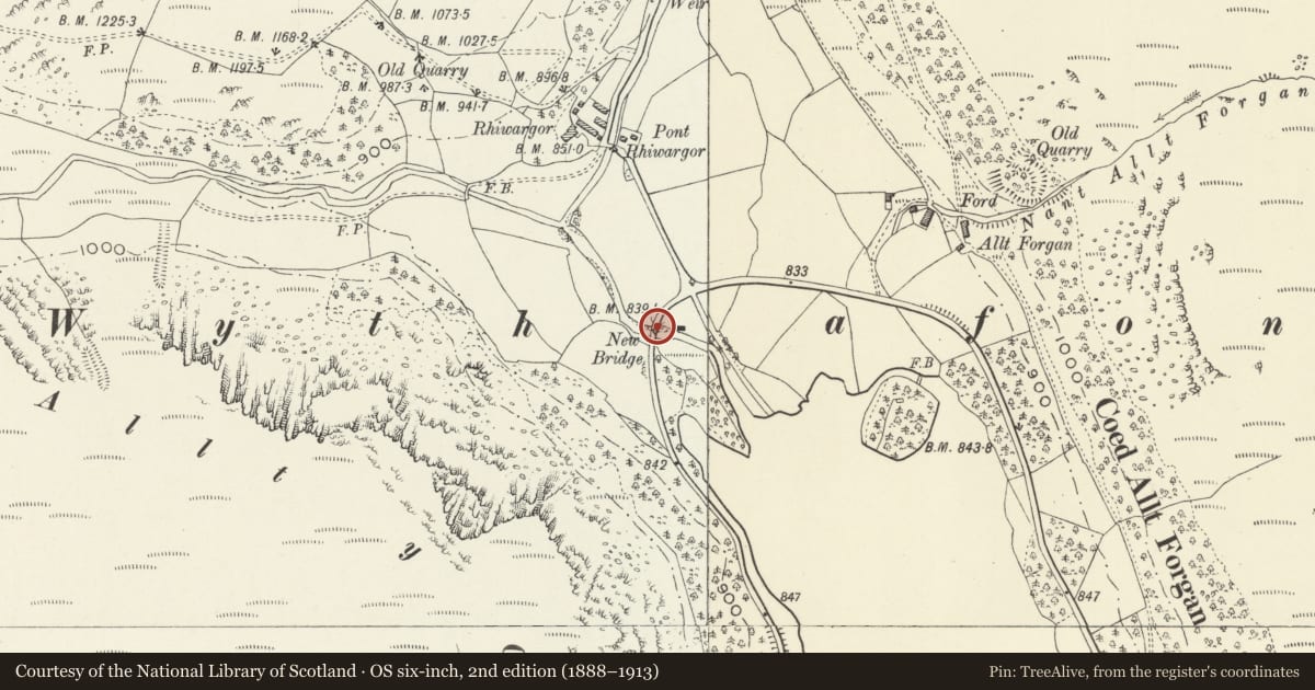 Ordnance Survey six-inch map, 2nd edition (1888–1913) covering the location of New Bridge, Llanwddyn, Powys, with a pin at the register's coordinates