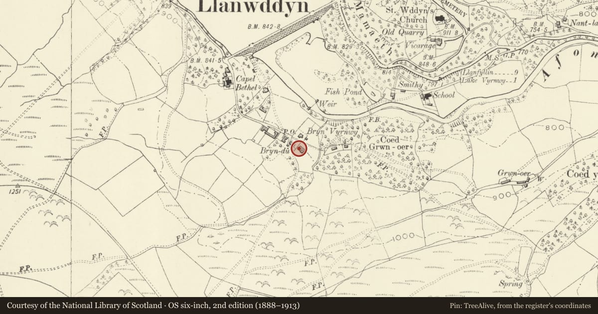 Ordnance Survey six-inch map, 2nd edition (1888–1913) covering the location of No. 1 Glyndu, Llanwddyn, Powys, with a pin at the register's coordinates