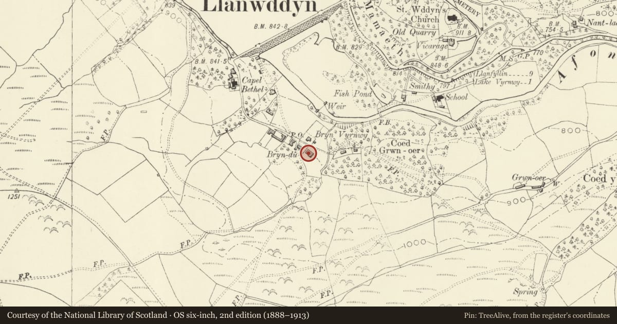 Ordnance Survey six-inch map, 2nd edition (1888–1913) covering the location of No. 2 Glyndu, Llanwddyn, Powys, with a pin at the register's coordinates