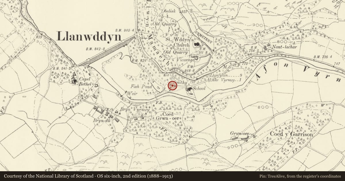 Ordnance Survey six-inch map, 2nd edition (1888–1913) covering the location of No. 3 Glanrafon, Llanwddyn, Powys, with a pin at the register's coordinates