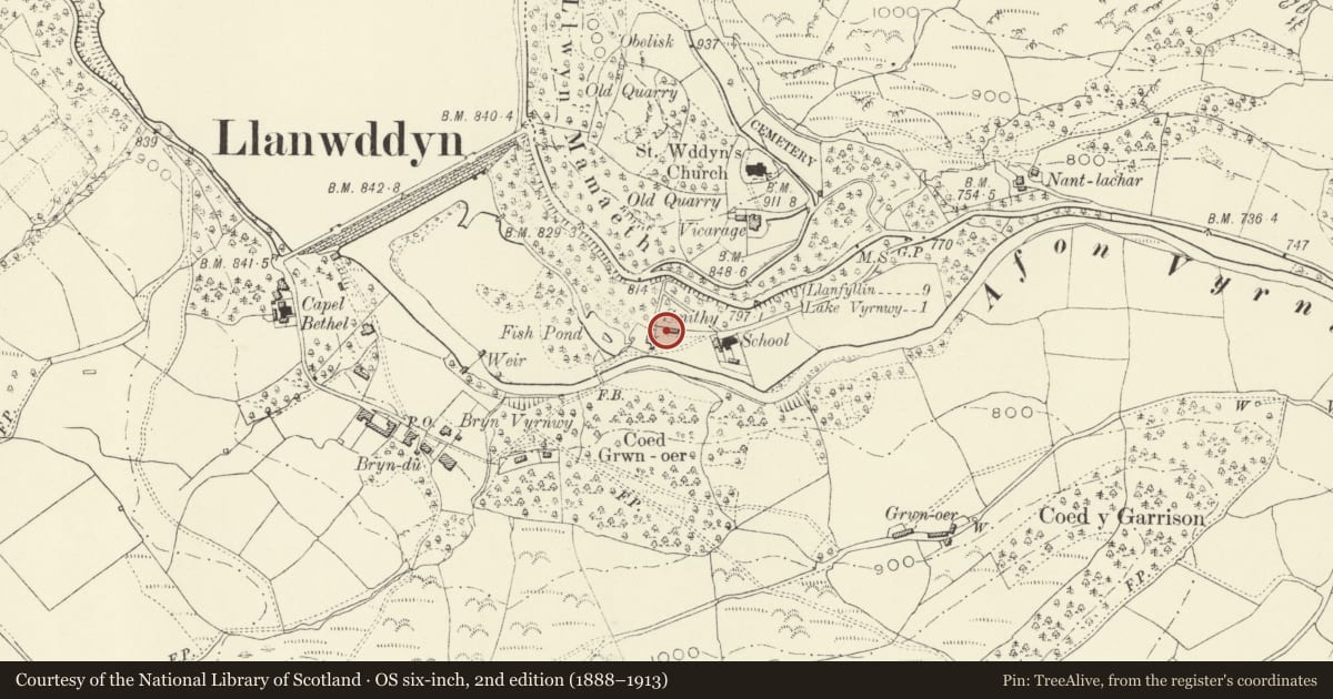 Ordnance Survey six-inch map, 2nd edition (1888–1913) covering the location of No. 4 Glanrafon, Llanwddyn, Powys, with a pin at the register's coordinates