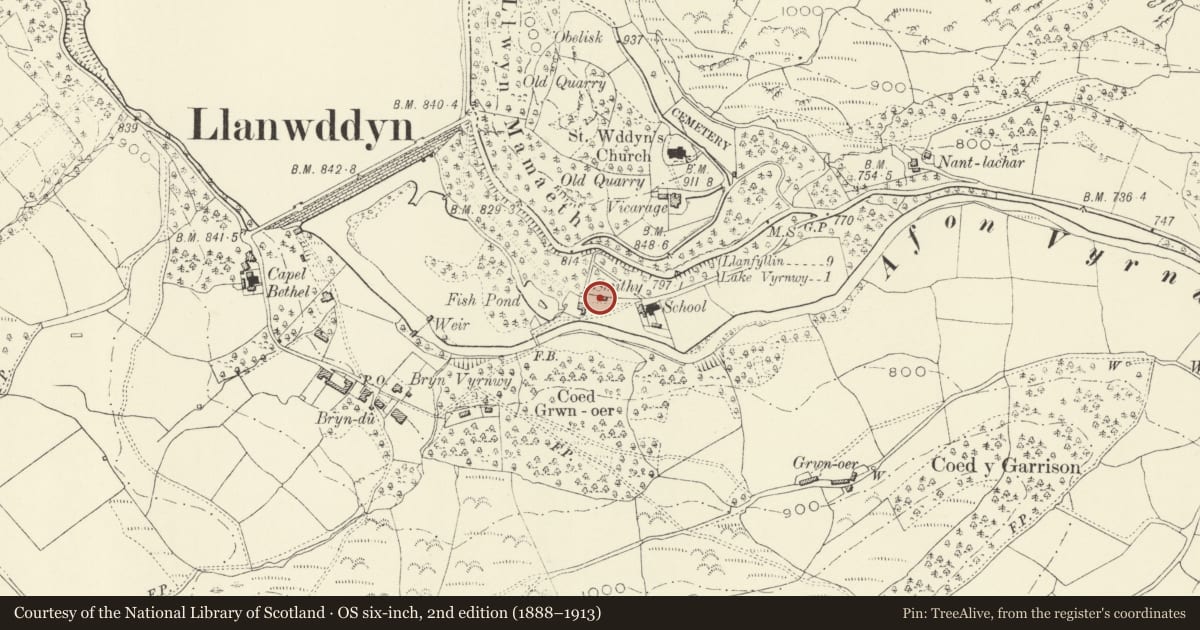 Ordnance Survey six-inch map, 2nd edition (1888–1913) covering the location of No. 5 Glanrafon, Llanwddyn, Powys, with a pin at the register's coordinates