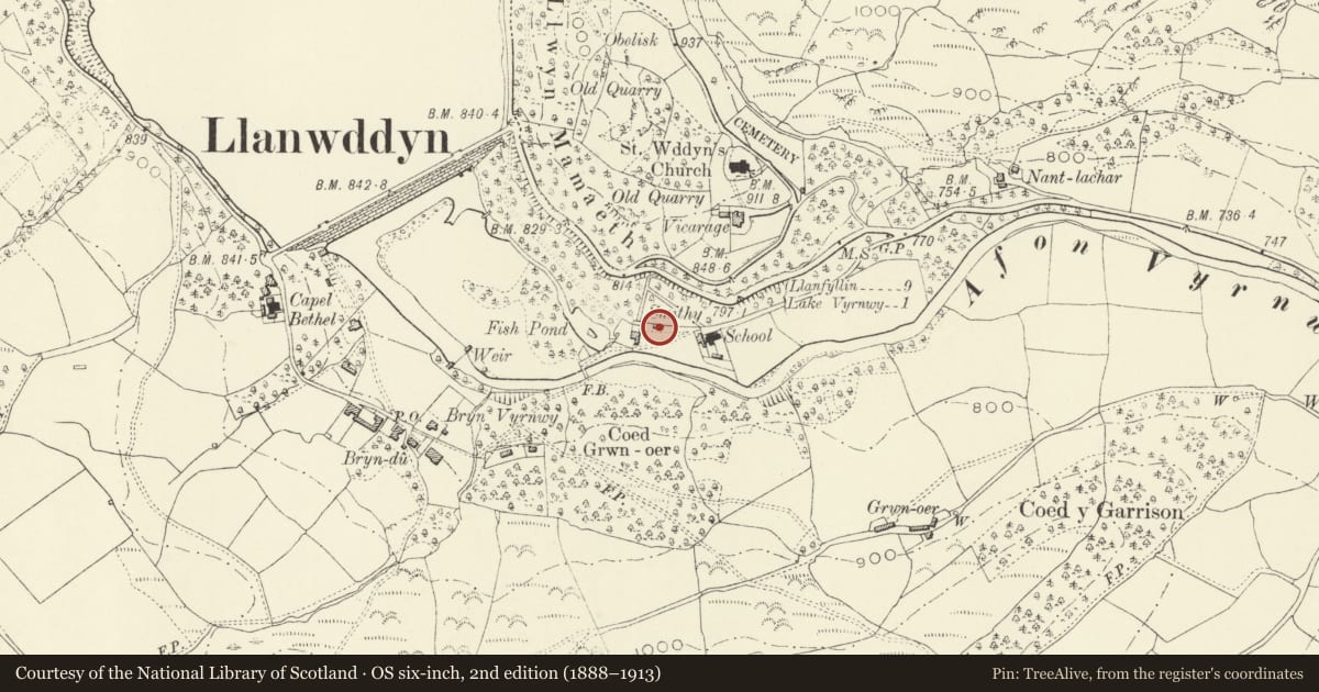 Ordnance Survey six-inch map, 2nd edition (1888–1913) covering the location of No. 6 Glanrafon, Llanwddyn, Powys, with a pin at the register's coordinates