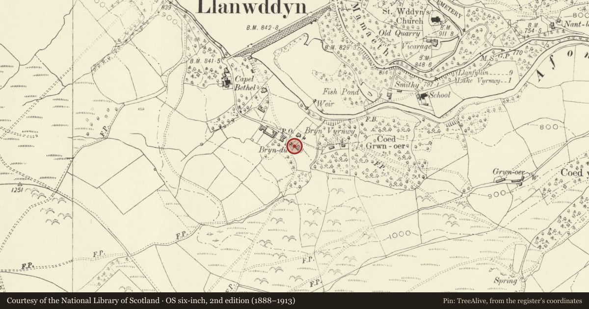 Ordnance Survey six-inch map, 2nd edition (1888–1913) covering the location of No. 6 Glyndu, Llanwddyn, Powys, with a pin at the register's coordinates