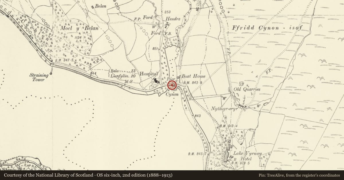 Ordnance Survey six-inch map, 2nd edition (1888–1913) covering the location of Pont Cynon, Llanwddyn, Powys, with a pin at the register's coordinates